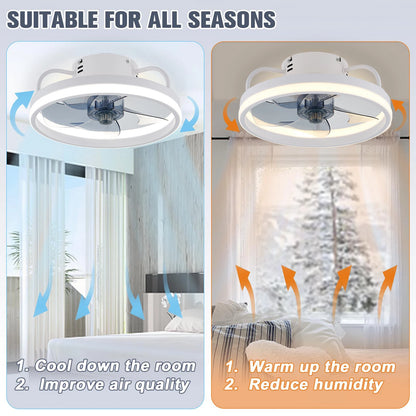 Smart LED Fan Light